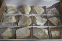 Natural Rough Dendritic White Opal Specimens  x 12 From Namibia