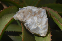 Natural Rough Dendritic White Opal Specimens  x 12 From Madagascar