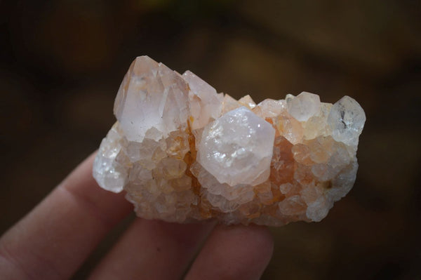 Natural Spirit Quartz Clusters x 12 From Boekenhouthoek, South Africa