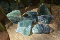 Polished One Side Polished Watermelon Fluorite Pieces  x 6 From Uis, Namibia