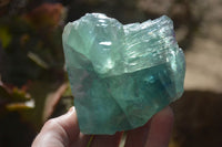 Polished One Side Polished Watermelon Fluorite Pieces  x 6 From Uis, Namibia