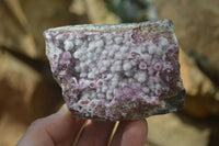 Natural Pink Salrose Cobaltion Dolomite Specimens  x 6 From Kakanda, Congo