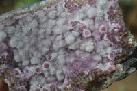 Natural Pink Salrose Cobaltion Dolomite Specimens  x 6 From Kakanda, Congo