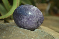 Polished Purple Lepidolite Palm Stones  x 6 From Zimbabwe