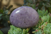 Polished Purple Lepidolite Palm Stones  x 6 From Zimbabwe