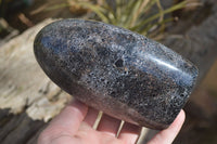 Polished Black Tourmaline Matrix Standing Free Forms x 2 From Madagascar