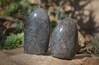 Polished Black Tourmaline Matrix Standing Free Forms x 2 From Madagascar