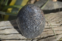 Polished Black Tourmaline Matrix Standing Free Forms x 2 From Madagascar