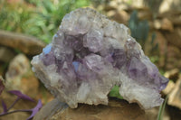 Natural Jacaranda Amethyst Cluster x 1 From Mumbwe, Zambia