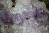 Natural Jacaranda Amethyst Cluster x 1 From Mumbwe, Zambia