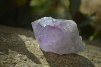 Natural Brandberg Amethyst Crystals x 12 From Brandberg, Namibia