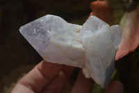 Natural Brandberg Amethyst Crystals x 12 From Brandberg, Namibia