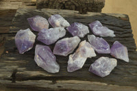 Natural Brandberg Amethyst Crystals x 12 From Brandberg, Namibia