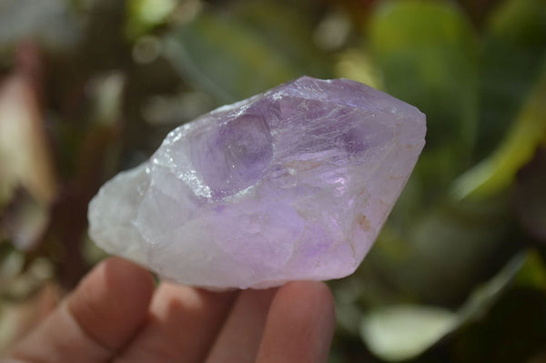 Natural Brandberg Amethyst Crystals x 12 From Brandberg, Namibia