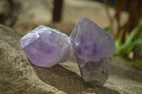 Natural Brandberg Amethyst Crystals x 12 From Brandberg, Namibia