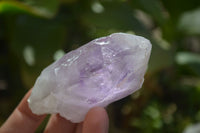 Natural Brandberg Amethyst Crystals x 12 From Brandberg, Namibia