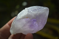 Natural Brandberg Amethyst Crystals x 12 From Brandberg, Namibia