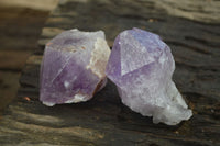 Natural Brandberg Amethyst Crystals x 12 From Brandberg, Namibia