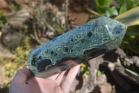 Polished Stromatolite Points  x 2 From Katsepy, Madagascar