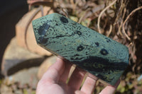 Polished Stromatolite Points  x 2 From Katsepy, Madagascar