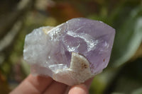 Natural Jacaranda Amethyst Crystals x 12 From Mumbwa, Zambia