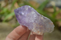 Natural Jacaranda Amethyst Crystals x 12 From Mumbwa, Zambia