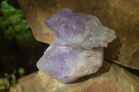 Natural Jacaranda Amethyst Crystals x 12 From Mumbwa, Zambia