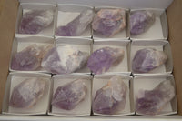 Natural Jacaranda Amethyst Crystals x 12 From Mumbwa, Zambia