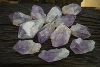 Natural Jacaranda Amethyst Crystals x 12 From Mumbwa, Zambia