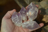 Natural Amethyst Hematoid Crystals x 20 From Kolomo, Zambia