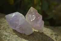 Natural Amethyst Hematoid Crystals x 20 From Kolomo, Zambia