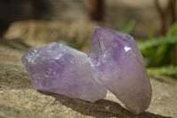 Natural Amethyst  Hematoid Crystals x 20 From Kolomo, Zambia