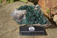 Natural Rare Ball Malachite On Drusy Quartz & Dolomite Specimen x 1 From Kambove, Congo