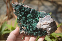 Natural Rare Ball Malachite On Drusy Quartz & Dolomite Specimen x 1 From Kambove, Congo