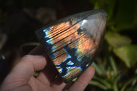 Polished Labradorite Standing Free Forms  x 6 From Madagascar