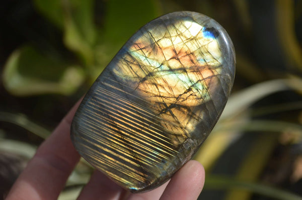 Polished Labradorite Standing Free Forms  x 6 From Madagascar