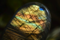 Polished Labradorite Standing Free Forms  x 6 From Madagascar