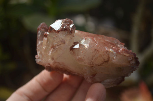 Natural Red Hematoid Quartz Clusters x 12 From Karoi, Zimbabwe