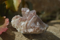 Natural Red Hematoid Quartz Clusters x 12 From Karoi, Zimbabwe