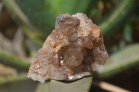 Natural Red Hematoid Quartz Clusters x 12 From Karoi, Zimbabwe