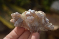 Natural Red Hematoid Quartz Clusters x 12 From Karoi, Zimbabwe