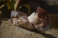 Natural Red Hematoid Quartz Clusters x 12 From Karoi, Zimbabwe