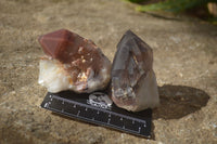 Natural Red Hematoid Quartz Clusters x 12 From Karoi, Zimbabwe