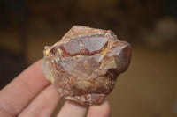 Natural Red Hematoid Quartz Clusters x 12 From Karoi, Zimbabwe