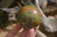 Polished Green Chrysoprase Spheres  x 4 From Madagascar