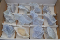 Natural Etched Blue Chalcedony Specimens  x 12 From Nsanje, Malawi