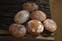 Polished Ocean Flower Agate Gallets  x 6 From Madagascar