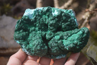 Natural Malachite With Chrysocolla Stalactite Formation Specimens  x 2 From Congo