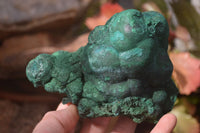 Natural Malachite With Chrysocolla Stalactite Formation Specimens  x 2 From Congo