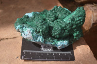 Natural Malachite With Chrysocolla Stalactite Formation Specimens  x 2 From Congo